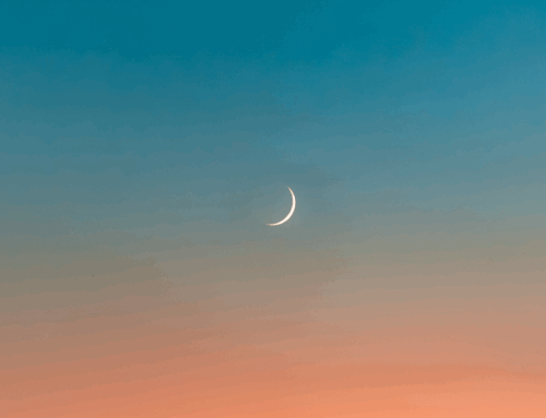 Sun and Moon – Psalm 74:16-17