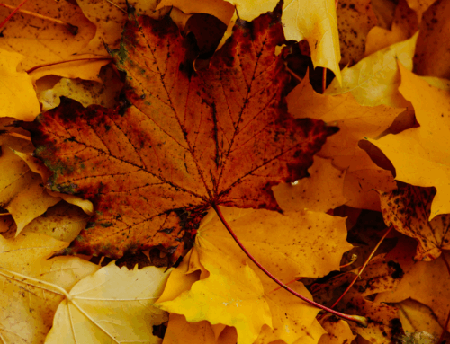 Eternity – Ecclesiastes 3:11