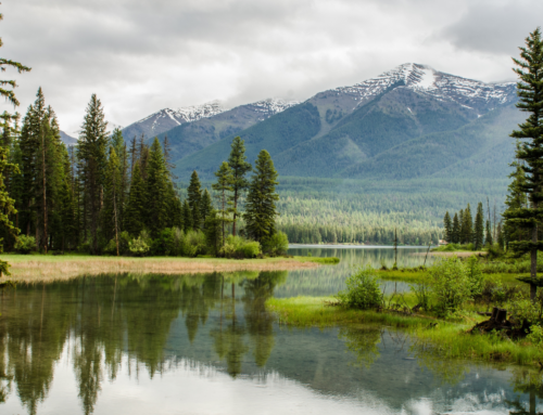 Stand In Awe – Psalm 95:2-4